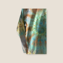 Load image into Gallery viewer, 9-11yr Long Sleeve Shirt